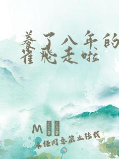 养了八年的金丝雀飞走啦