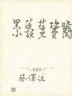 黑莲花攻略手册小说免费阅读