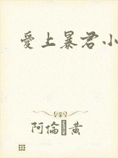 爱上暴君小甜心