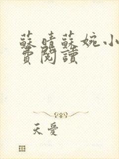 苏晴苏婉小说免费阅读