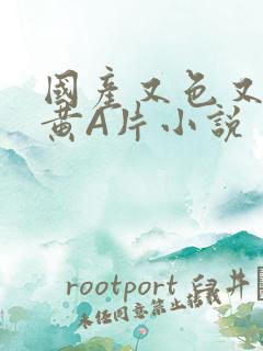 国产又色又爽又黄A片小说