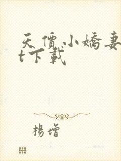 天价小娇妻txt下载