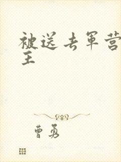 被送去军营的公主
