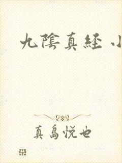 九阴真经 小说