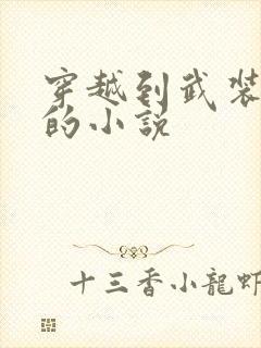 穿越到武装少女的小说