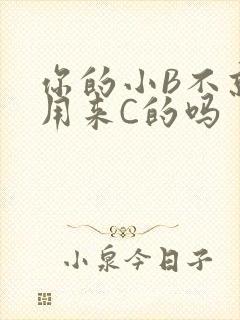 你的小B不就是用来C的吗