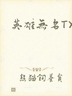 英雄无名TXT