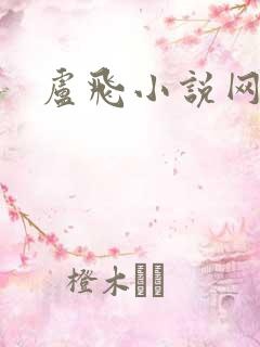 卢飞小说网