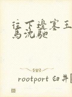 往下边塞玉器骑马沈驰