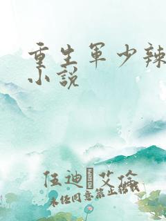 重生军少辣娇妻小说