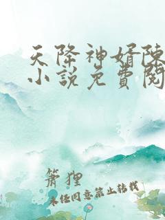 天降神婿陈黄皮小说免费阅读