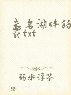 未名湖畔的爱与罚txt