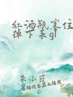 红酒瓶塞住不准掉下来gl