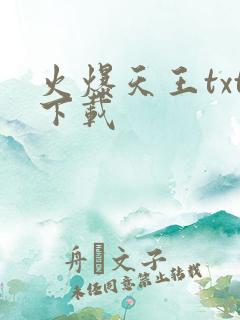 火爆天王txt下载