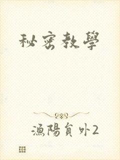 秘密教学