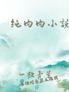 纯肉肉小说