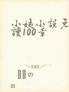 小姨小说免费阅读100章
