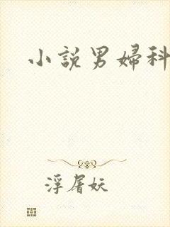 小说男妇科医生