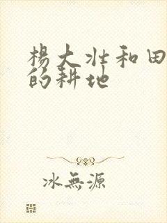 杨大壮和田桂花的耕地