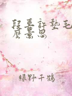 段嘉许垫毛巾什么意思