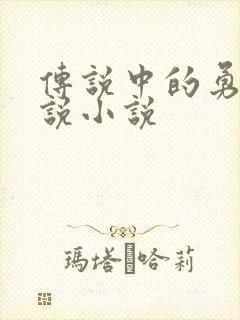 传说中的勇者传说小说