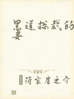 黑道总裁的娇蛮妻