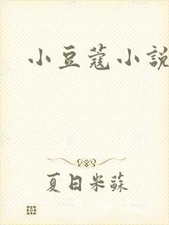 小豆蔻小说