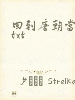 回到唐朝当皇帝txt