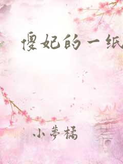 傻妃的一纸休书