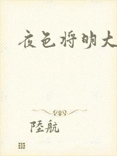 夜色将明大结局