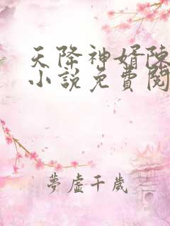 天降神婿陈黄皮小说免费阅读