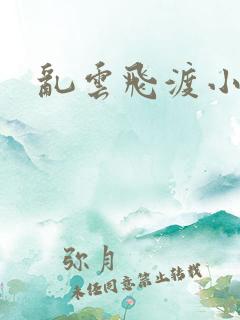 乱云飞渡小说
