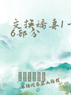 交换娇妻1一36部分