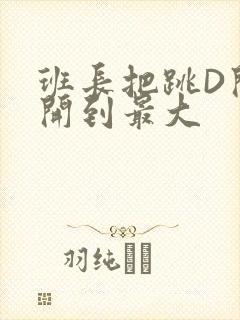 班长把跳D开关开到最大