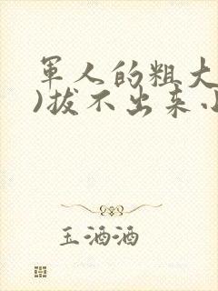 军人的粗大(h)拔不出来小说