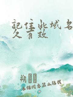 记住此域名记永久有效