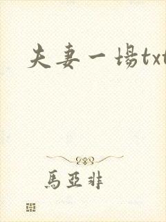 夫妻一场txt