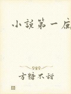 小说第一庶女