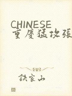 CHINESE重庆猛攻张先生