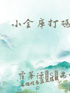 小金库打码平台