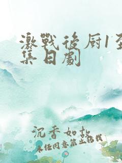 激战后厨1至5集日剧