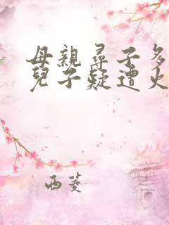 母亲寻子多年 儿子疑遭火车撞击身亡