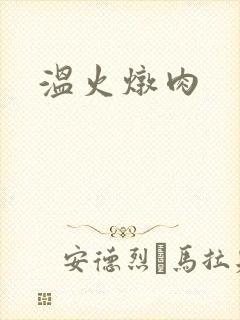 温火炖肉