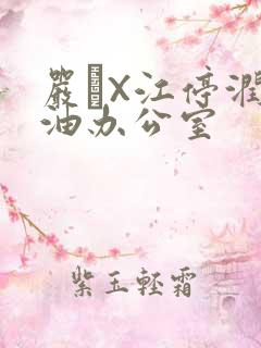 严峫X江停润滑油办公室