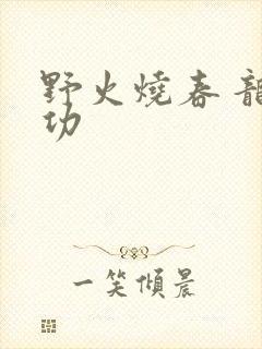 野火烧春 龙鸣功