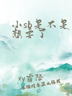 小sb是不是又想要了