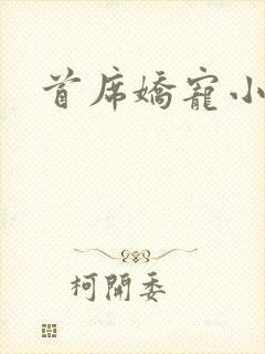 首席娇宠小情人