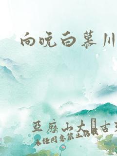 向晚白慕川