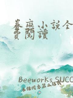 眷恋小说全文免费阅读