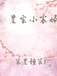 农家小寡妇